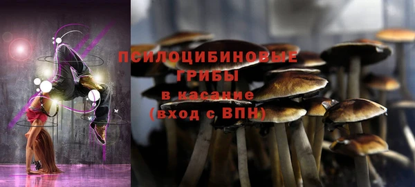 дживик Вязьма