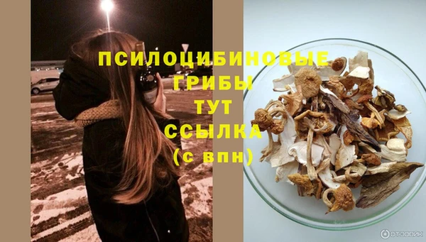 дживик Вязьма