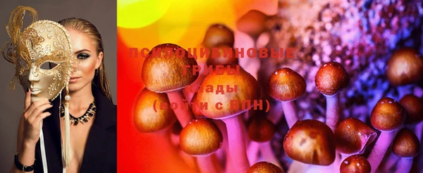 дживик Вязьма
