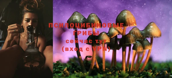 2c-b Вязники